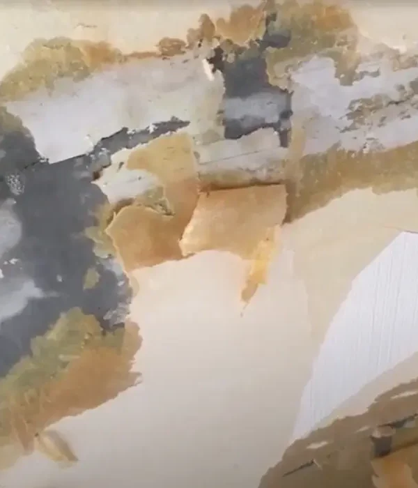 台南南區健康路電梯大樓牆面滲水與剝落修繕案例