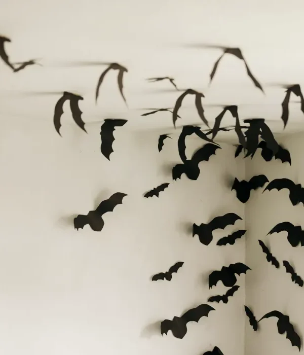 壁癌問題別輕忽 ─ 從成因到修繕，守護住家與健康