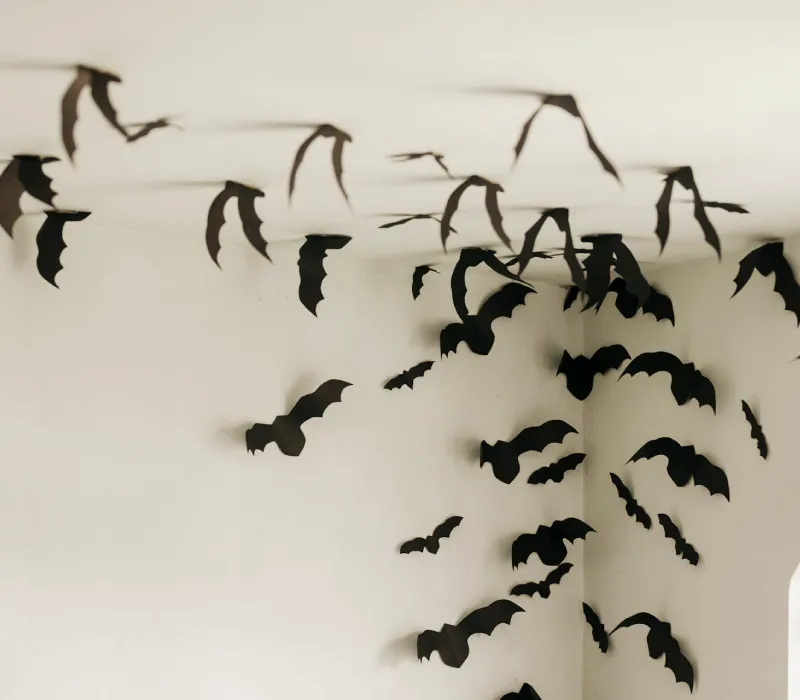 壁癌問題別輕忽 ─ 從成因到修繕，守護住家與健康