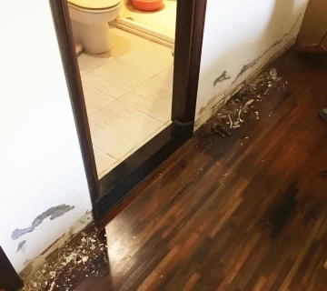 台南南區透天 浴室門邊潮濕漏水修繕