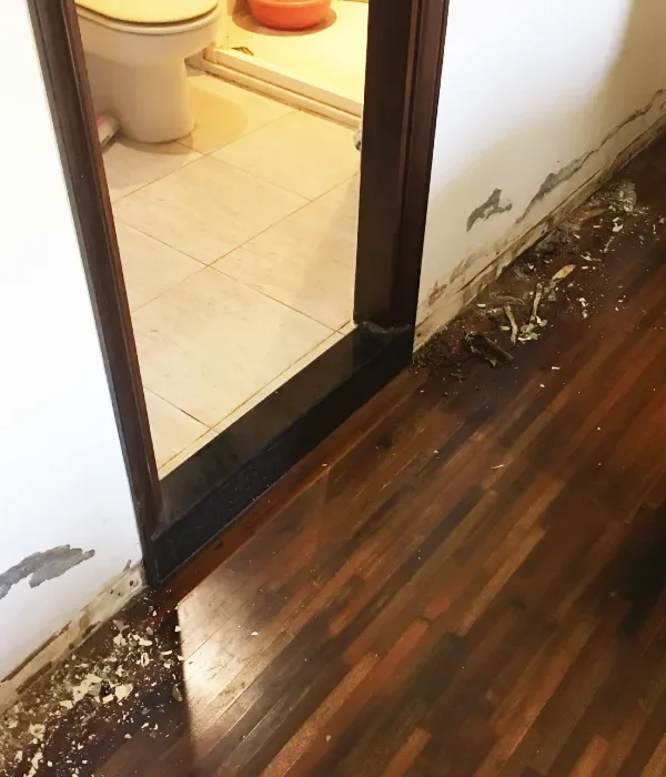 台南南區透天 浴室門邊潮濕漏水修繕