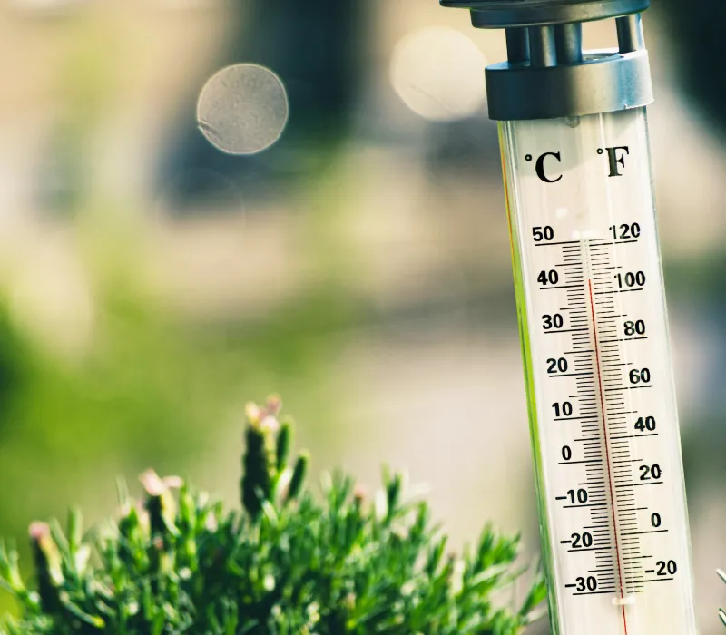 夏季氣候防水層的危機與守護對策