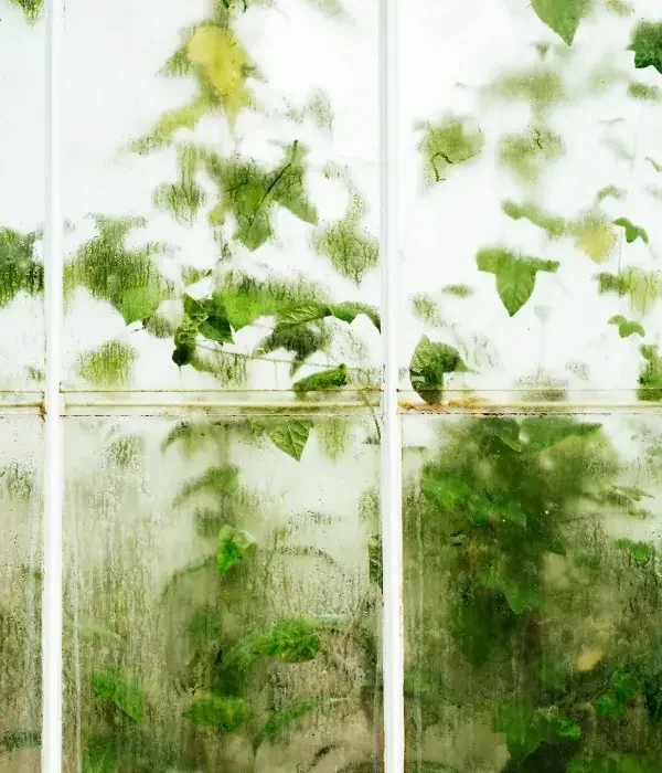 窗框漏水怎麼辦｜窗邊滲水成因與修繕方法